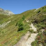 vor uns auf einem Wiesenrücken liegend, rückt die Linard-Hütte immer näher