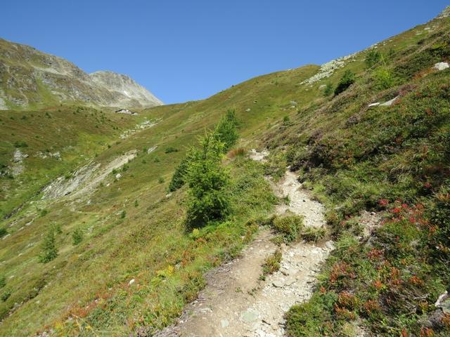 vor uns auf einem Wiesenrücken liegend, rückt die Linard-Hütte immer näher