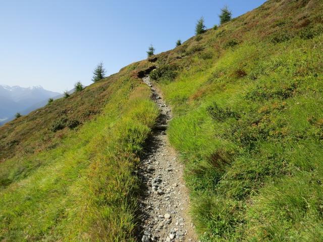 über einen gut angelegten Wanderweg...