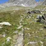 über einen jetzt noch gut ersichtlichen Bergpfad, geht es alles am Bach entlang aufwärts