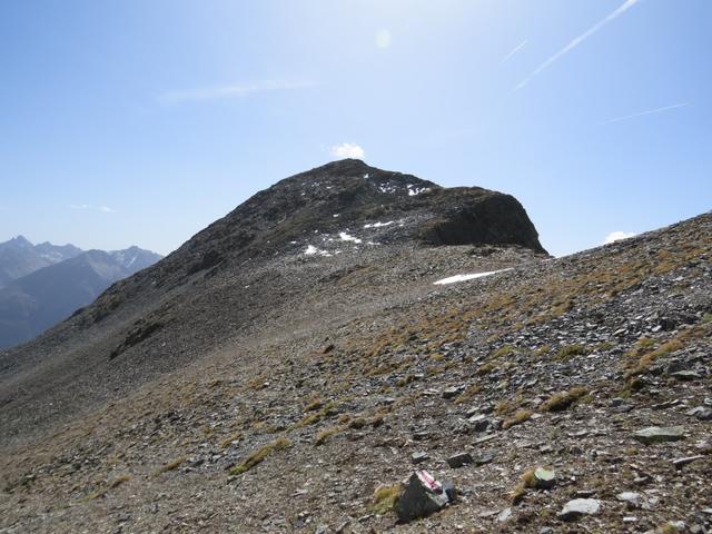 noch einmal blicken wir hinauf zum Piz Glims