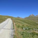 von der Bergstation folgen wir dem Fahrweg...