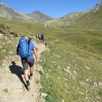 wo der Fahrweg flacher wird, zweigt links 2287 m.ü.M. ein Fussweg in die Wiesen ab, in den wir einbiegen