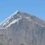 ...Muttler mit seinem wie mit dem Lineal gezogenen Westgrat. Diese anstrengende Bergtour werden wir nie vergessen