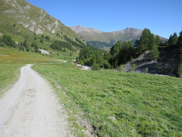 ...schliesslich auf einen Fahrweg