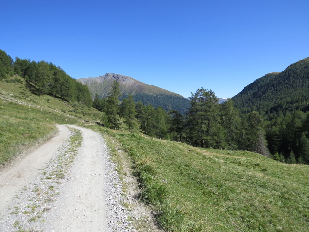 der Fahrweg führt sanft abfallend am Hang entlang, wo wir eine Weggabelung 1973 m.ü.M. erreichen