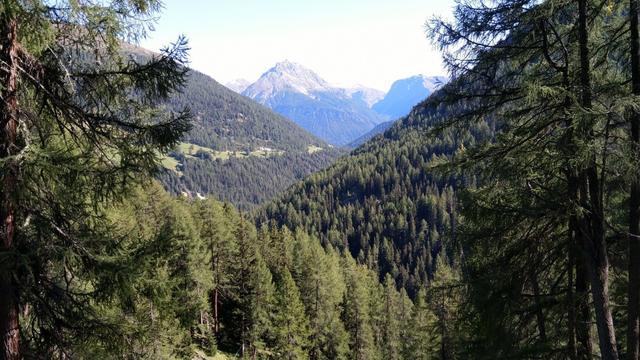 auf der anderen Talseite erkennen wir Vnà und die Engadiner Dolomiten