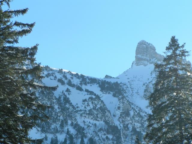 Berggasthaus Stauberen
