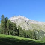 wir blicken hinauf zur Stammerspitz/Piz Tschütta und der kleine Piz Ot davor