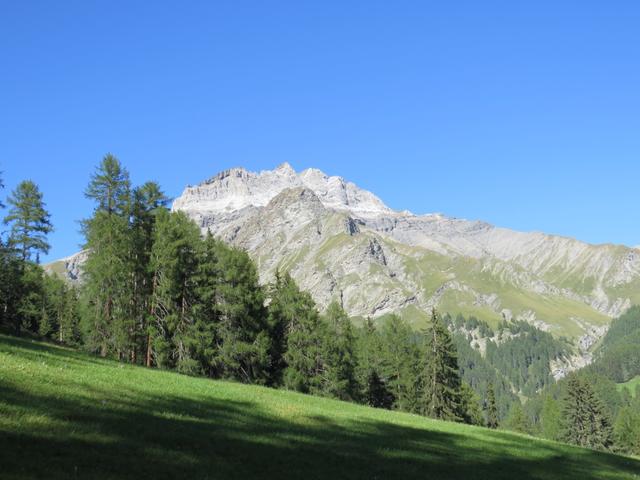 wir blicken hinauf zur Stammerspitz/Piz Tschütta und der kleine Piz Ot davor