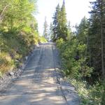 auf einer Fahrstrasse geht es nun in das dritte Bergtal hinein, das Val Sinestra