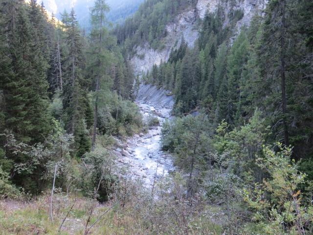 der schmale Weg führt hinunter ins Val Sinestra und in die wilde Schlucht der Brancla