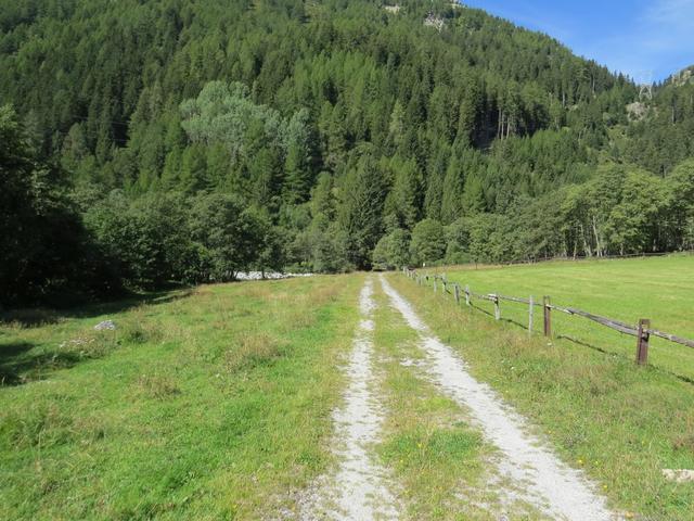 der Wirtschaftsweg führt zunächst durch Blumenwiesen, immer parallel zur Talstrasse