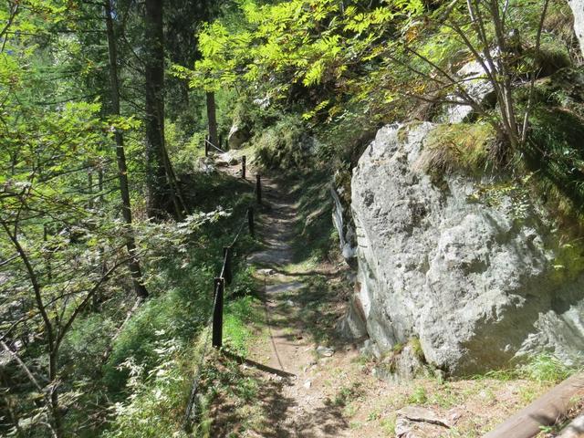 nach dem Kraftwerk wird der Weg schmaler und führt in stetem Auf und Ab 1348 m.ü.M. durch den Wald