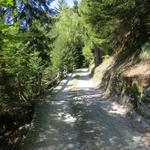 wir werden heute den ganzen Tag auf dem Panorama-Höhenweg durch das Bergell bis nach Soglio wandern