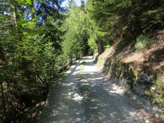 wir werden heute den ganzen Tag auf dem Panorama-Höhenweg durch das Bergell bis nach Soglio wandern