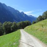 es gibt kaum etwas Schöneres, als an einem sonnigen Tag auf der Panoramica das Bergell zu erwandern