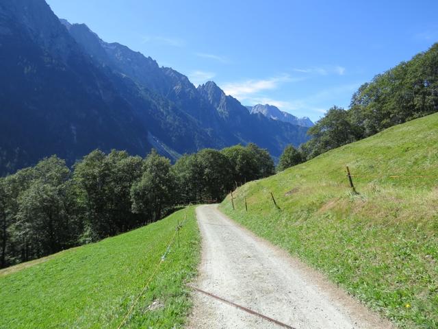 es gibt kaum etwas Schöneres, als an einem sonnigen Tag auf der Panoramica das Bergell zu erwandern