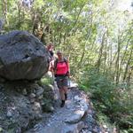 oft führt nun der Wanderweg über über Baumwurzeln und Steine