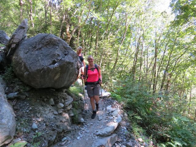 oft führt nun der Wanderweg über über Baumwurzeln und Steine