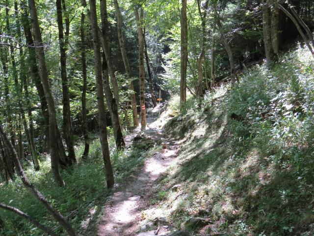 der Panorama-Höhenweg durch das Bergell ist sehr gut ausgebaut und markiert