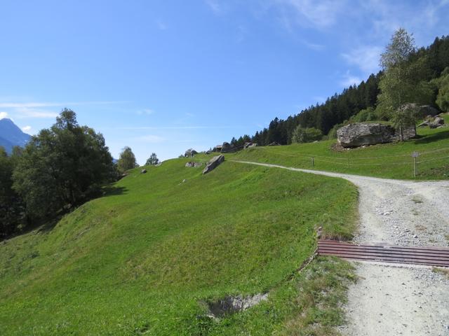 hier treffen wir auf einen Fahrweg, dem wir leicht bergauf folgen...