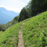 leicht abwärts geht es weiter Richtung Soglio. Für diese Wanderung muss zusätzliche Zeit einkalkuliert werden