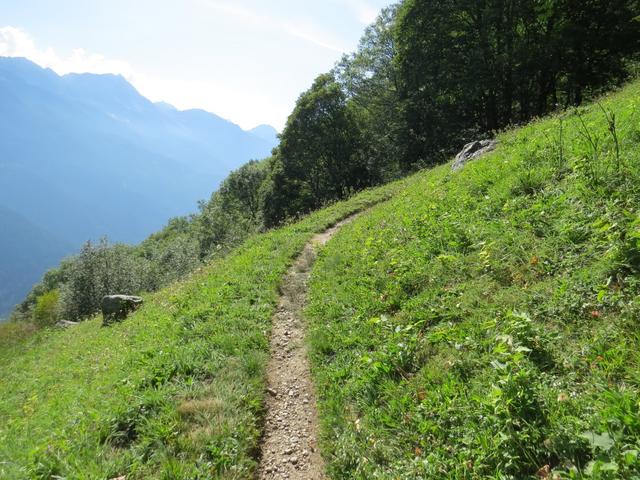 leicht abwärts geht es weiter Richtung Soglio. Für diese Wanderung muss zusätzliche Zeit einkalkuliert werden