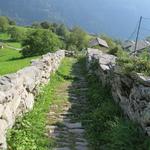 der Weg führt uns aus dem Kastanienwald hinaus, auf eine Wiese,...