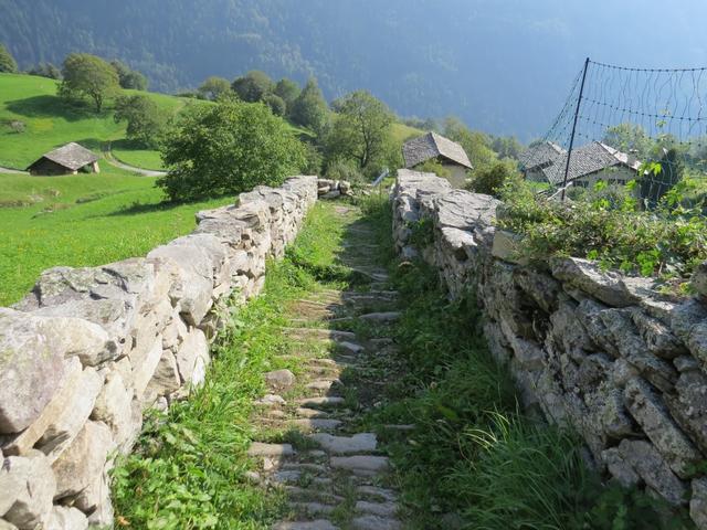 der Weg führt uns aus dem Kastanienwald hinaus, auf eine Wiese,...