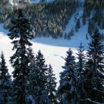 Blick auf den zugefrorenen Sämtisersee