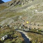 der Wanderweg führt nun einen Bogen durch, und wir verlieren ein bisschen an Höhe