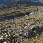 wir lassen den rechts abbiegende Bergweg unbeachtet, und wandern geradeaus weiter Richtung Fuorcla Suvretta