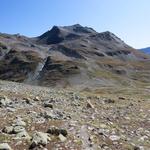 wir wandern weiter abwärts Richtung Pass Suvretta