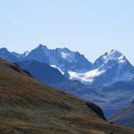 dahinter das Bernina-Massiv