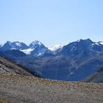 Blick zu den Eisriesen des Bernina-Massiv