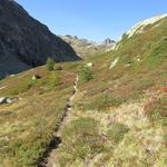 der gut ersichtliche Wanderweg führt uns stetig leicht aufwärts