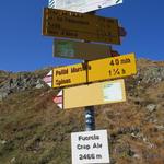 Wegweiser beim 2466 m.ü.M. hohen Übergang Fuorcla Crap Alv