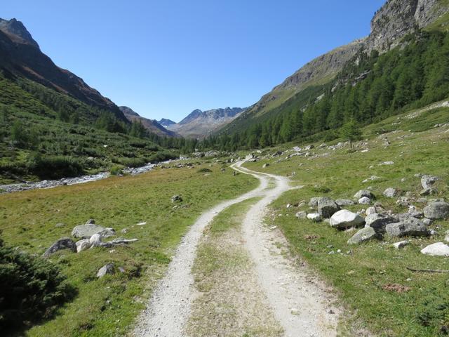 bei der Weggabelung wenden wir uns rechts...