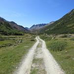 ...durchqueren wir über blumenreiche Alpwiesen Plaun Pitschen 2056 m.ü.M.