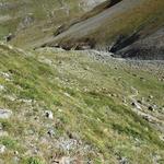 ...dreht der Bergweg weiter den Beverin Bach folgend, nach rechts ein