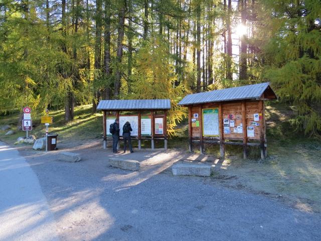 nicht weit vom Dorf S-chanf im Engadin, beim Taleingang des Val Trupchun, befindet sich der Parkplatz...