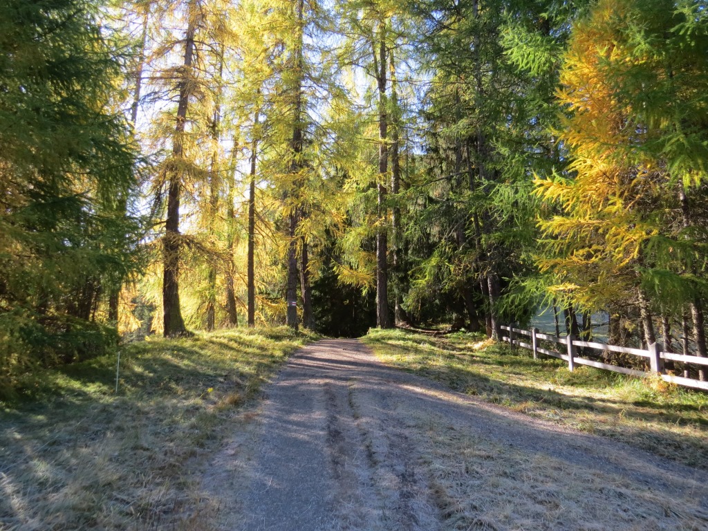 über einen schmalen Fussweg wandern wir auf der orografisch linke Seite der Ova da Varusch...