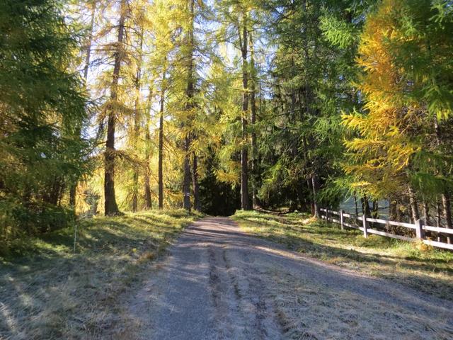 über einen schmalen Fussweg wandern wir auf der orografisch linke Seite der Ova da Varusch...
