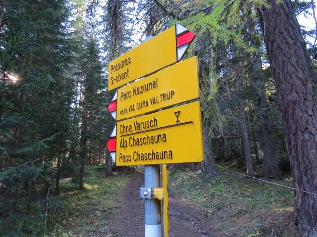 der Weg erreicht bald eine Gabelung. Wir biegen nicht links ab,...