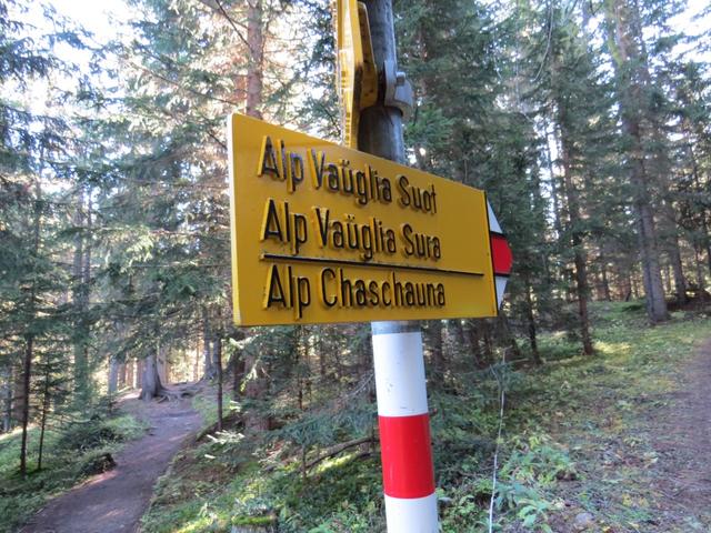 ...sondern halten uns weiterhin rechts, Richtung Alp Vaüglia Suot bzw. Alp Chaschauna