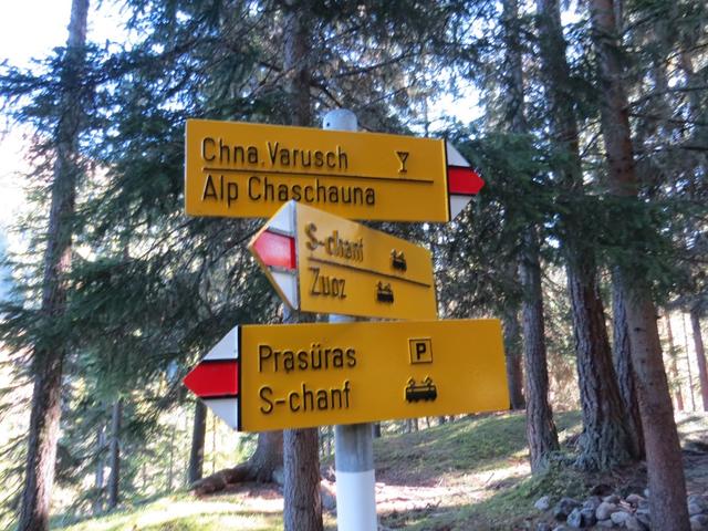bei der Weggabelung Punkt 1816 m.ü.M. behalten wir die Richtung Chamanna Varusch bzw. Alp Chaschauna