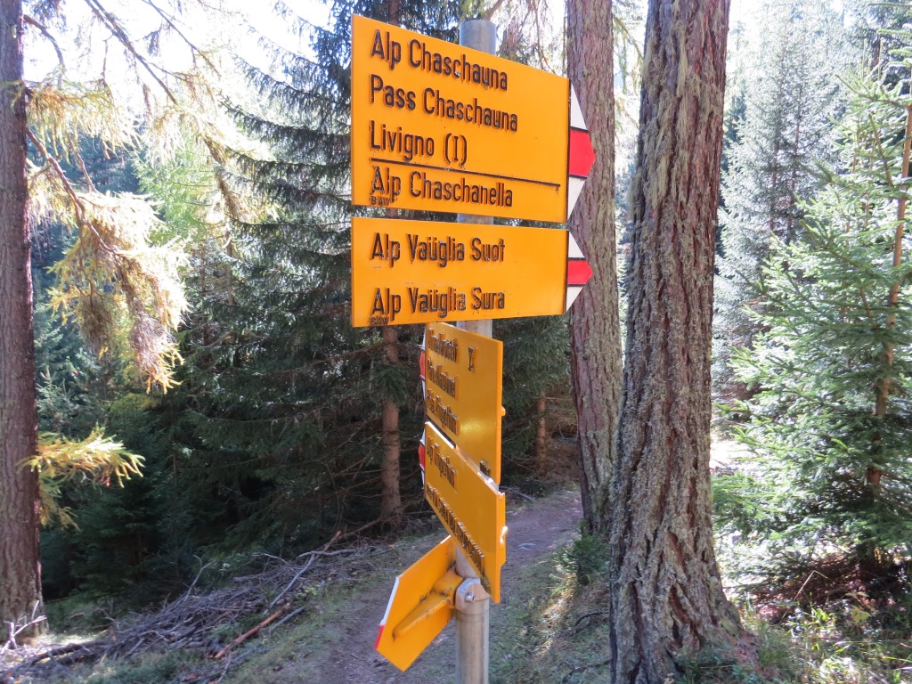 etwa 5o m weiter halten wir uns an der nächsten Gabelung...