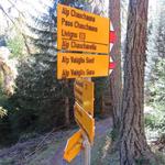 etwa 5o m weiter halten wir uns an der nächsten Gabelung...