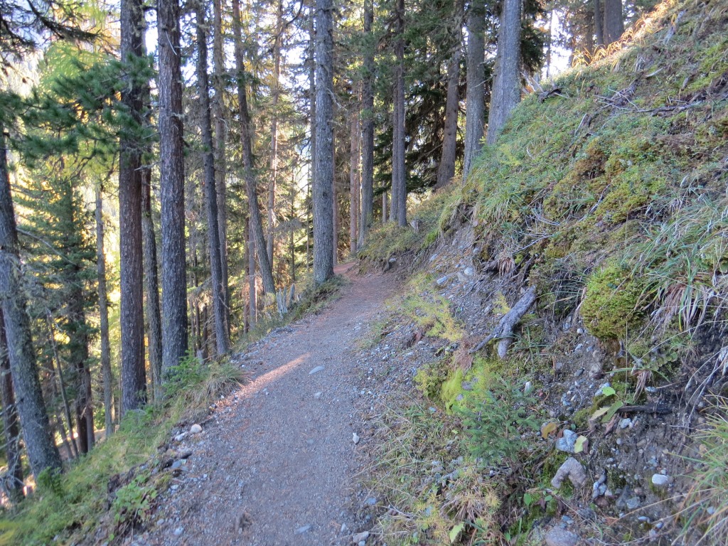 viele Weggabelung sind zu beachten. Der Vorteil dieser Variante ist, das man so viele Wanderer umgeht